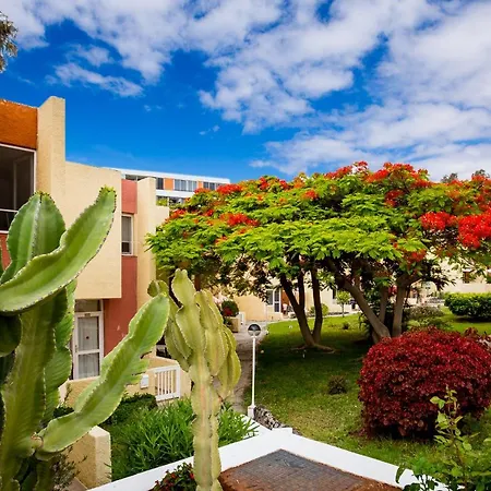 Costa Adeje Cortijo 4-6 Апартаменты *